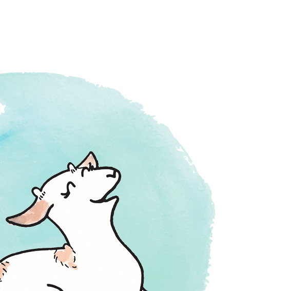 Bedtime Stories for 4-6 years old